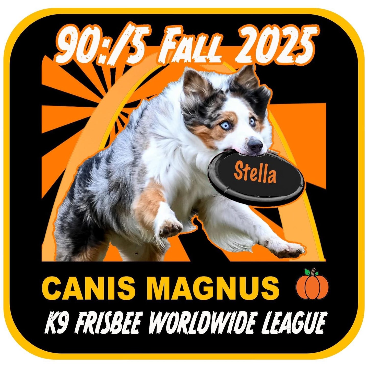 Fall Toss & Fetch League