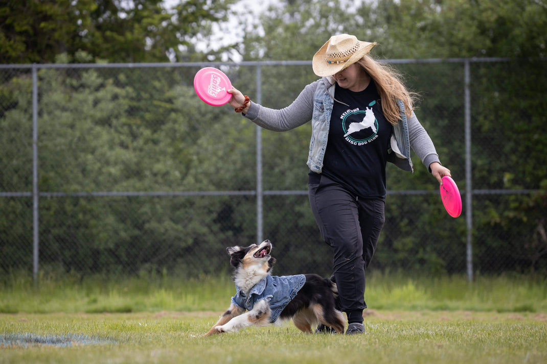 About Kelowna Disc Dogs