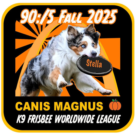 Fall Toss & Fetch League